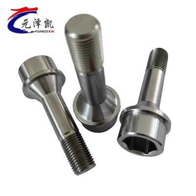 티타늄 볼트 M15